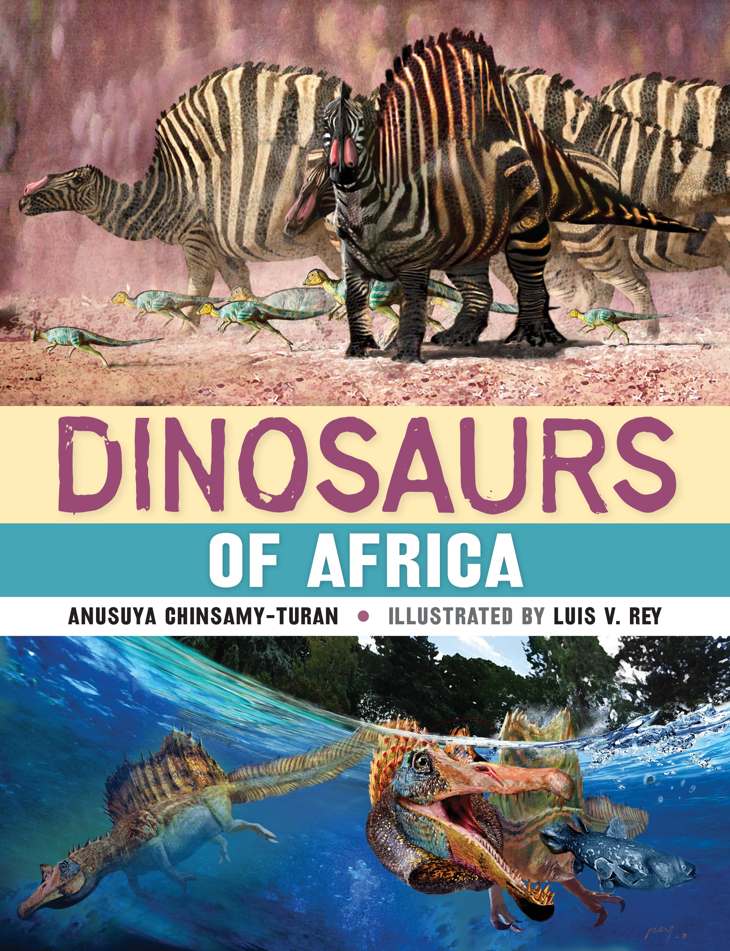 Dinosaurs of Africa by ChinsamyTuran, Anusuya Penguin Random House South Africa